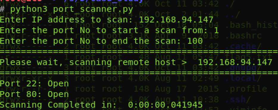 port scanner output